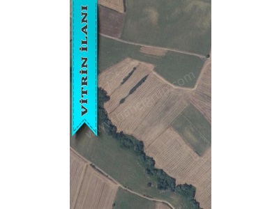 Tekirdağ Muratlı Balabanlıda Satılık Tarla Balabanlı Mah