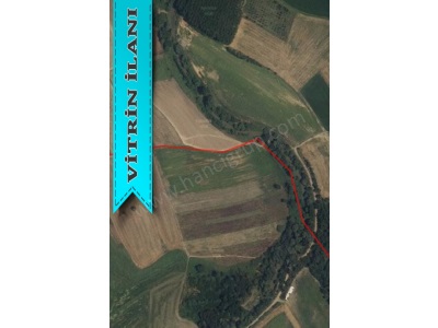 Kırklareli Pehlivanköy Kurtuluşta Müstakil Satılık Tarla 4 839 M2 Kurtuluş Mah