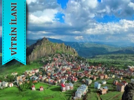 ŞEBİNKARAHİSAR KAVAKLAR MAHALLESİNDE SATILIK ARSA