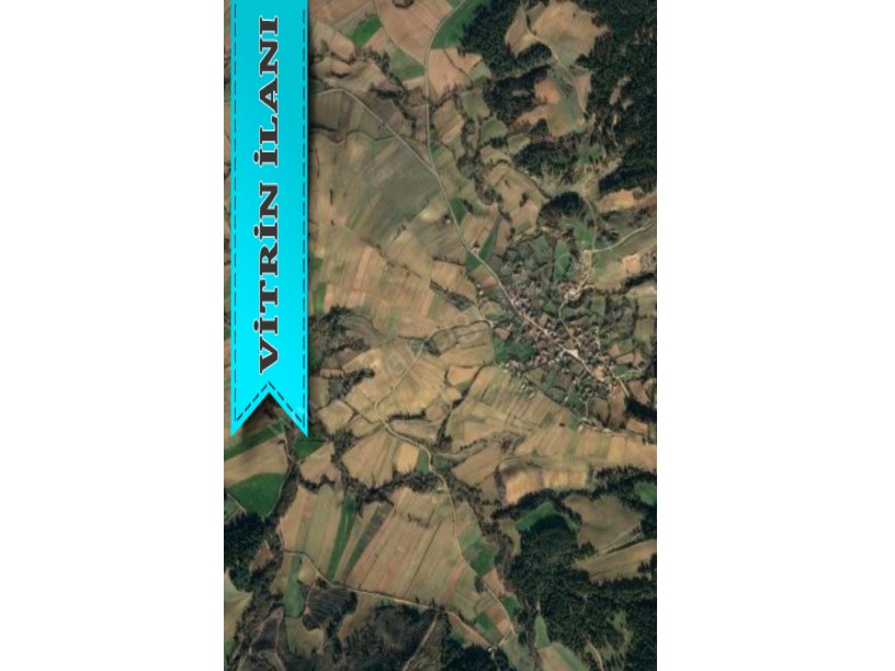 TEKİRDAĞ MALKARA YENİDİBEK MAH. 12.611 M2 SATILIK TARLA