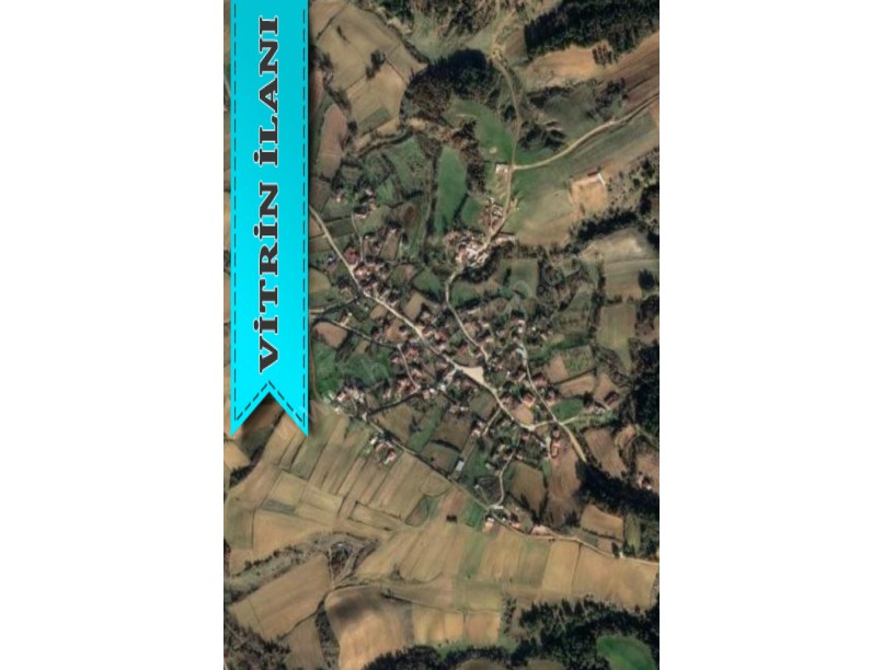 TEKİRDAĞ MALKARA YENİDİBEK MAH. 12.611 M2 SATILIK TARLA