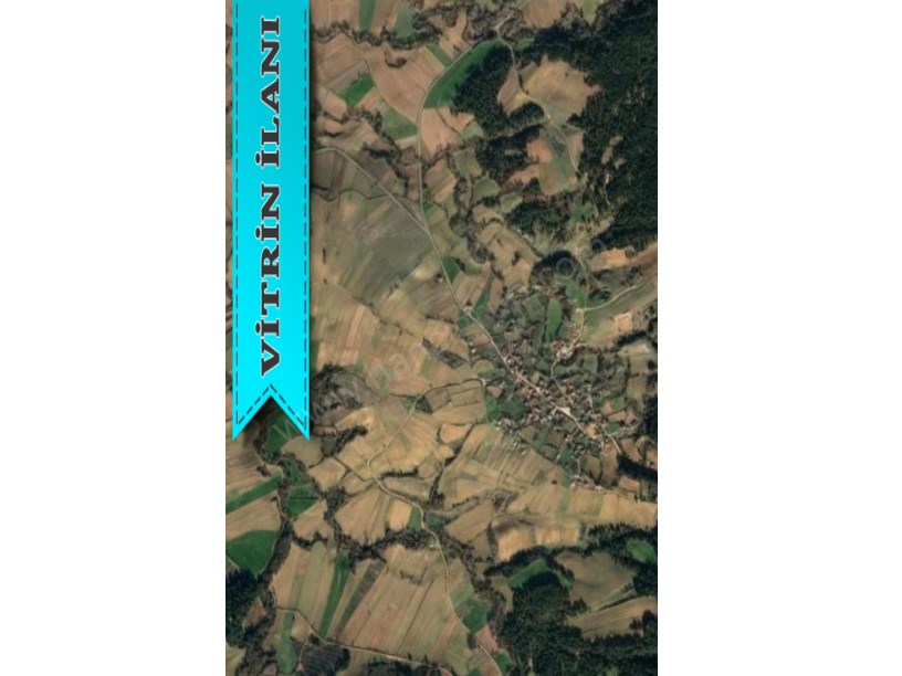 TEKİRDAĞ MALKARA YENİDİBEK MAH. 12.611 M2 SATILIK TARLA