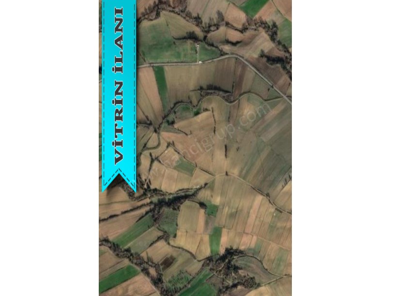 TEKİRDAĞ MALKARA YENİDİBEK MAH. 12.611 M2 SATILIK TARLA