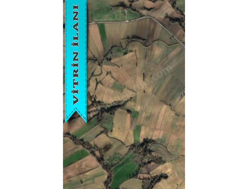 TEKİRDAĞ MALKARA YENİDİBEK MAH. 12.611 M2 SATILIK TARLA