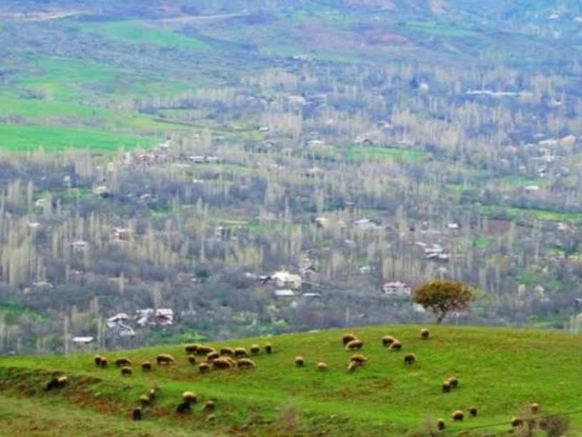 ŞEBİNKARAHİSAR MERKEZDE SATILIK ARSA