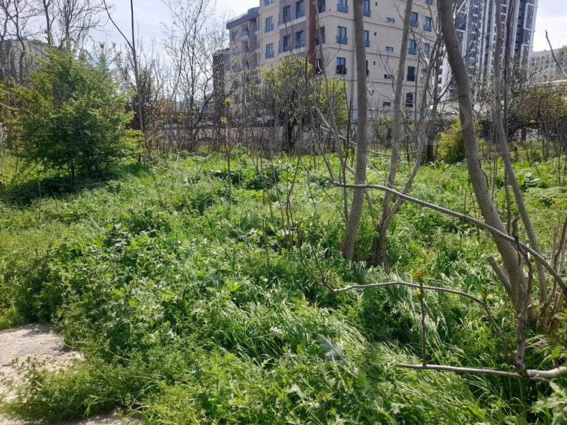 BEYLİKDÜZÜ YAKUPLU MERKEZDE 1.100 M2 KİRALIK ARSA