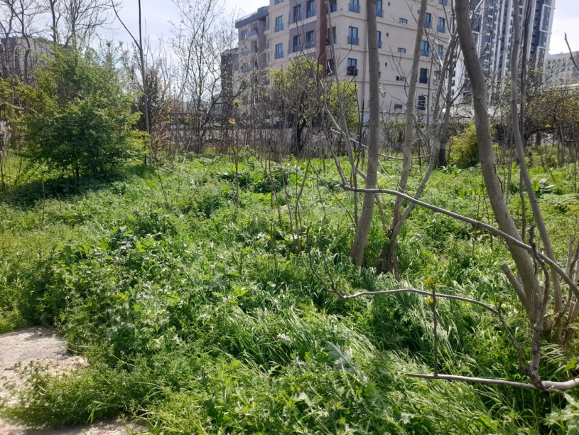 BEYLİKDÜZÜ YAKUPLU MERKEZDE 1.100 M2 KİRALIK ARSA