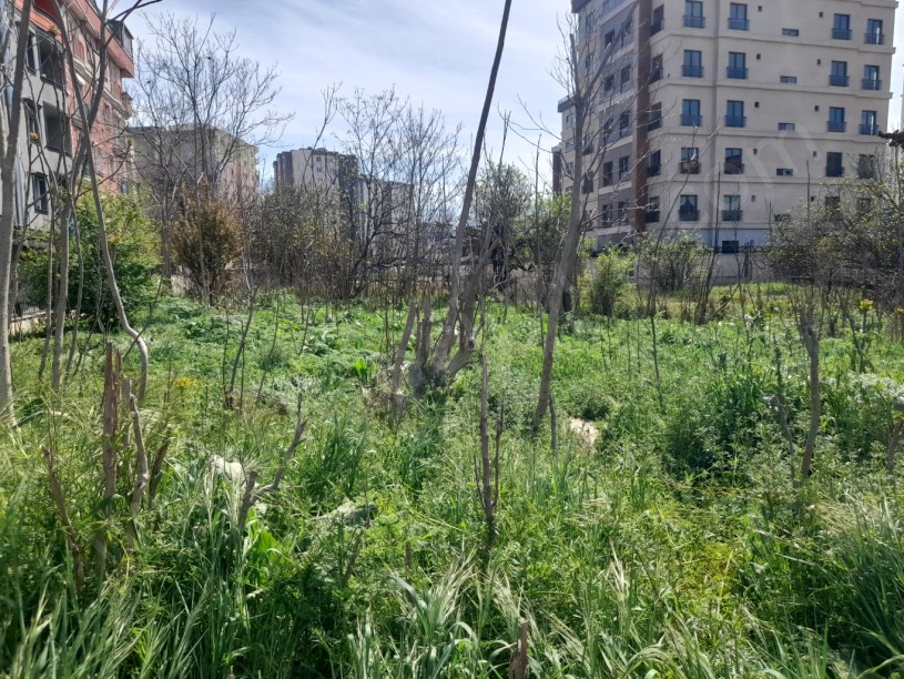 BEYLİKDÜZÜ YAKUPLU MERKEZDE 1.100 M2 KİRALIK ARSA