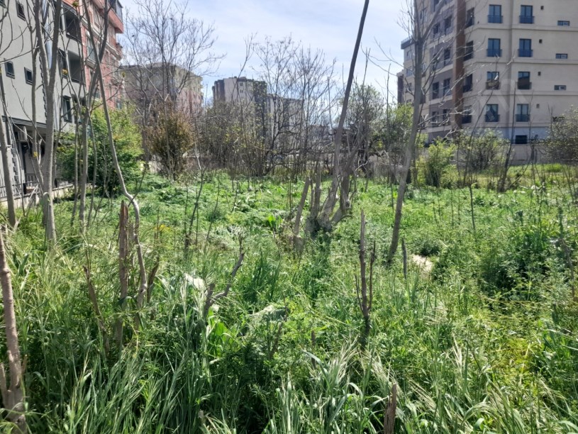 BEYLİKDÜZÜ YAKUPLU MERKEZDE 1.100 M2 KİRALIK ARSA