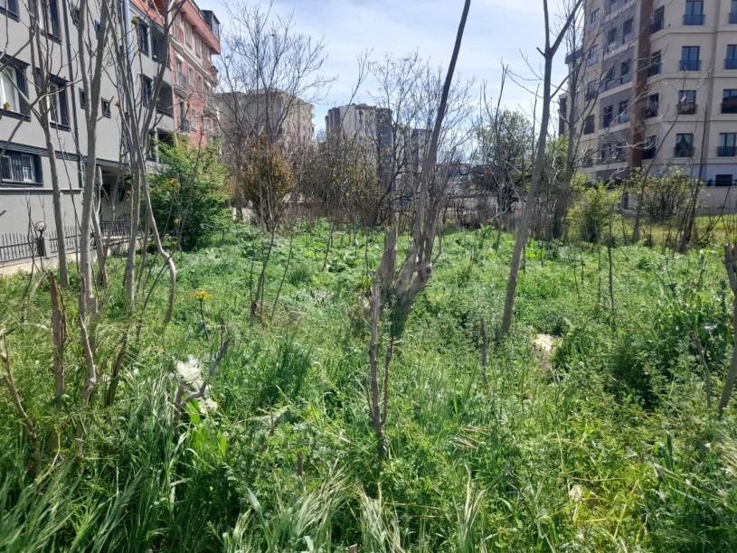 BEYLİKDÜZÜ YAKUPLU MERKEZDE 1.100 M2 KİRALIK ARSA