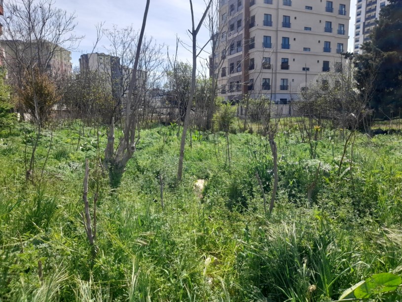 BEYLİKDÜZÜ YAKUPLU MERKEZDE 1.100 M2 KİRALIK ARSA