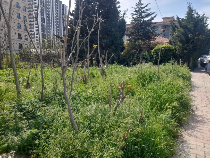 BEYLİKDÜZÜ YAKUPLU MERKEZDE 1.100 M2 KİRALIK ARSA