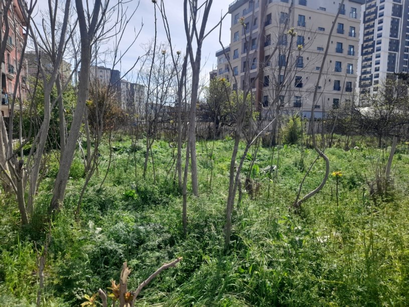 BEYLİKDÜZÜ YAKUPLU MERKEZDE 1.100 M2 KİRALIK ARSA