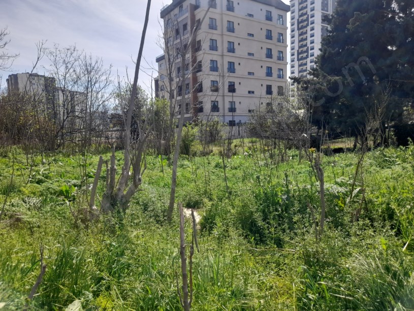 BEYLİKDÜZÜ YAKUPLU MERKEZDE 1.100 M2 KİRALIK ARSA