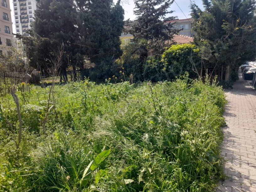 BEYLİKDÜZÜ YAKUPLU MERKEZDE 1.100 M2 KİRALIK ARSA