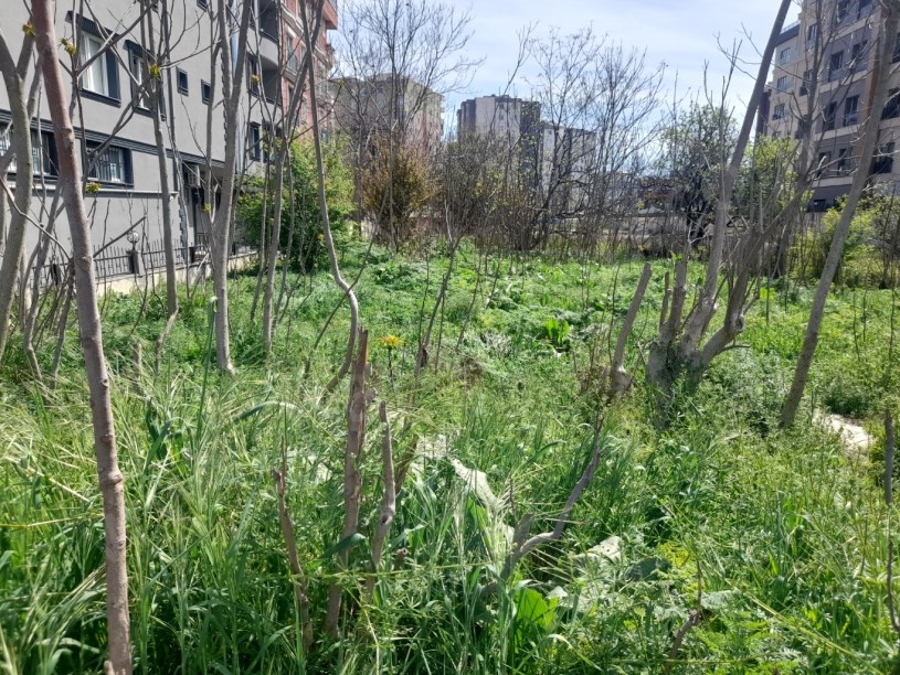 BEYLİKDÜZÜ YAKUPLU MERKEZDE 1.100 M2 KİRALIK ARSA