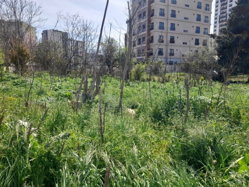 BEYLİKDÜZÜ YAKUPLU MERKEZDE 1.100 M2 KİRALIK ARSA