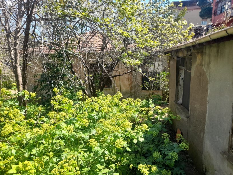 BEYKOZ PAŞABAHÇEDE 746 M2 ARSA İÇERİSİNDE SATILIK MÜSTAKİL EV
