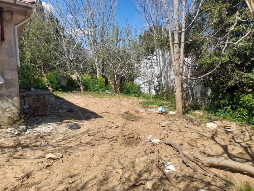 BEYKOZ PAŞABAHÇEDE 746 M2 ARSA İÇERİSİNDE SATILIK MÜSTAKİL EV