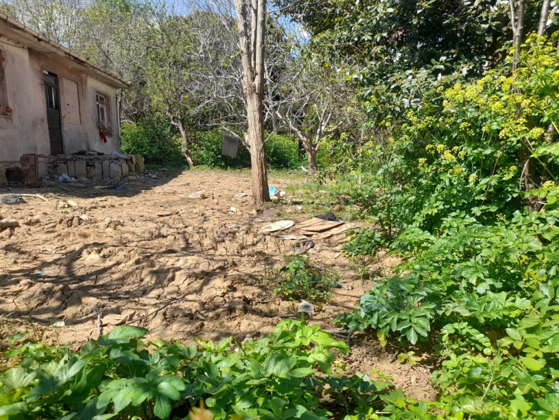 BEYKOZ PAŞABAHÇEDE 746 M2 ARSA İÇERİSİNDE SATILIK MÜSTAKİL EV