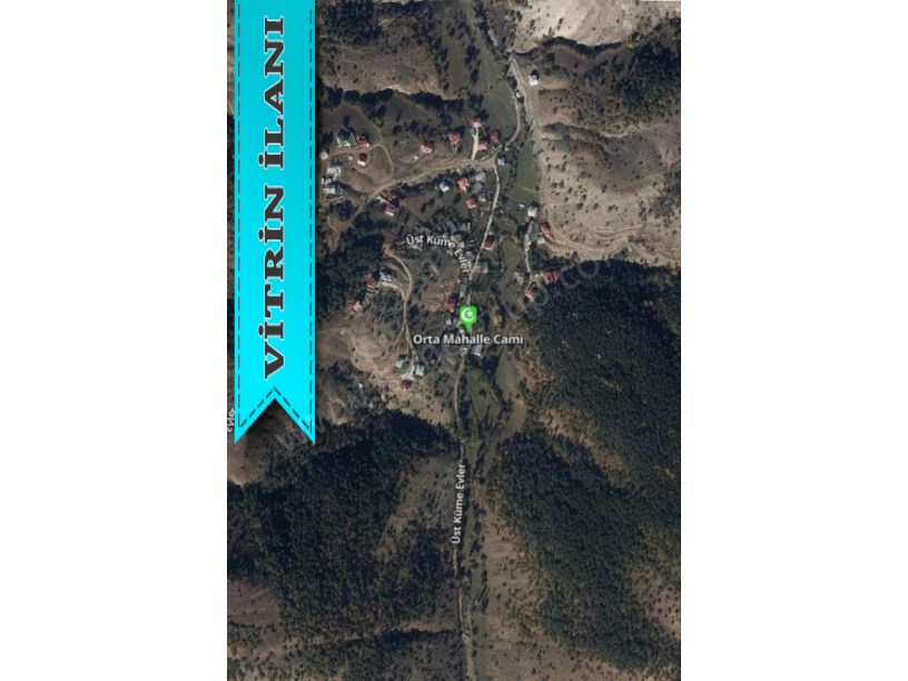 ALUCRA CAMLIYAYLA KÖYÜNDE SATILIK 5.008 M2 TARLA
