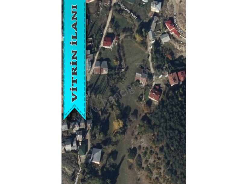 ALUCRA CAMLIYAYLA KÖYÜNDE SATILIK 5.008 M2 TARLA