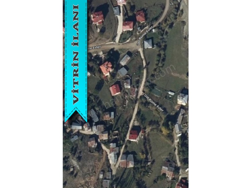 ALUCRA CAMLIYAYLA KÖYÜNDE SATILIK 5.008 M2 TARLA