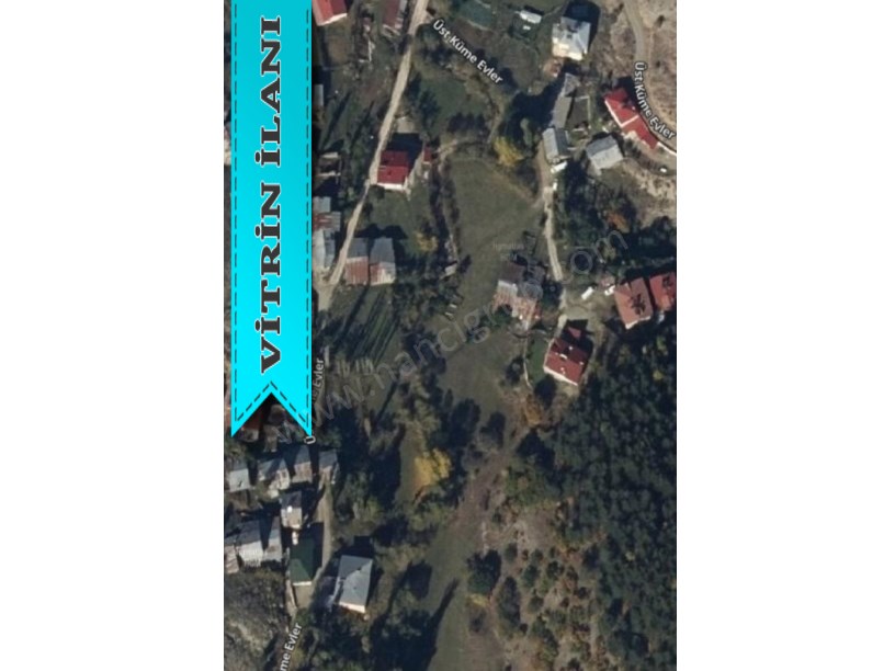ALUCRA CAMLIYAYLA KÖYÜNDE SATILIK 5.008 M2 TARLA