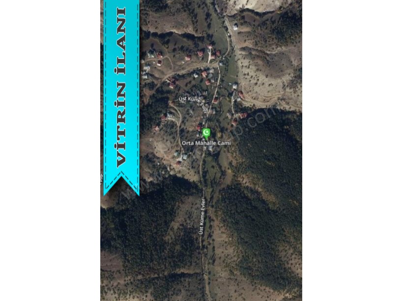 ALUCRA CAMLIYAYLA KÖYÜNDE SATILIK 5.008 M2 TARLA