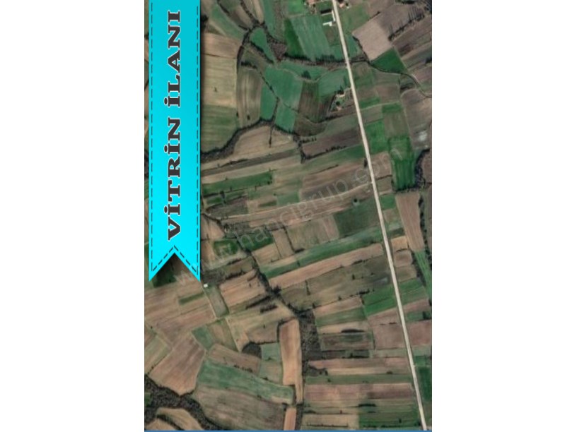 KIRKLARELİ PEHLİVANKÖY YEŞİLOVADA SATILIK 1.850 M2 TARLA
