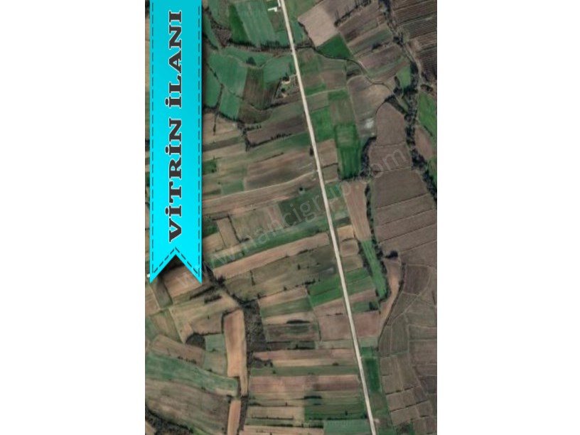 KIRKLARELİ PEHLİVANKÖY YEŞİLOVADA SATILIK 1.850 M2 TARLA