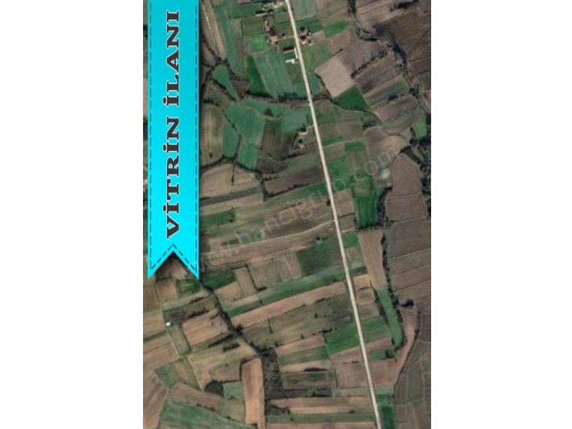 KIRKLARELİ PEHLİVANKÖY YEŞİLOVADA SATILIK 1.850 M2 TARLA