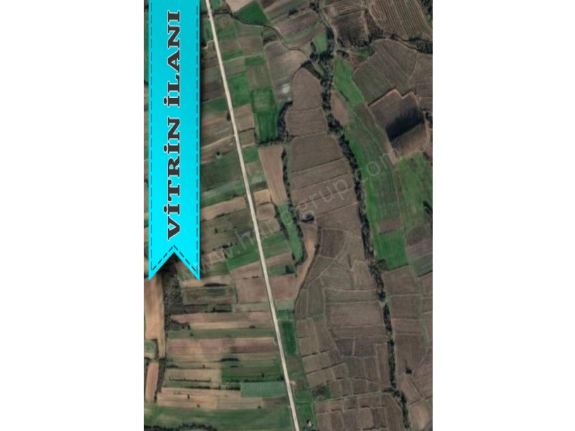 KIRKLARELİ PEHLİVANKÖY YEŞİLOVADA SATILIK 1.850 M2 TARLA