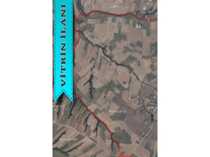 TEKİRDAĞ MURATLI BALABANLIDA SATILIK TARLA