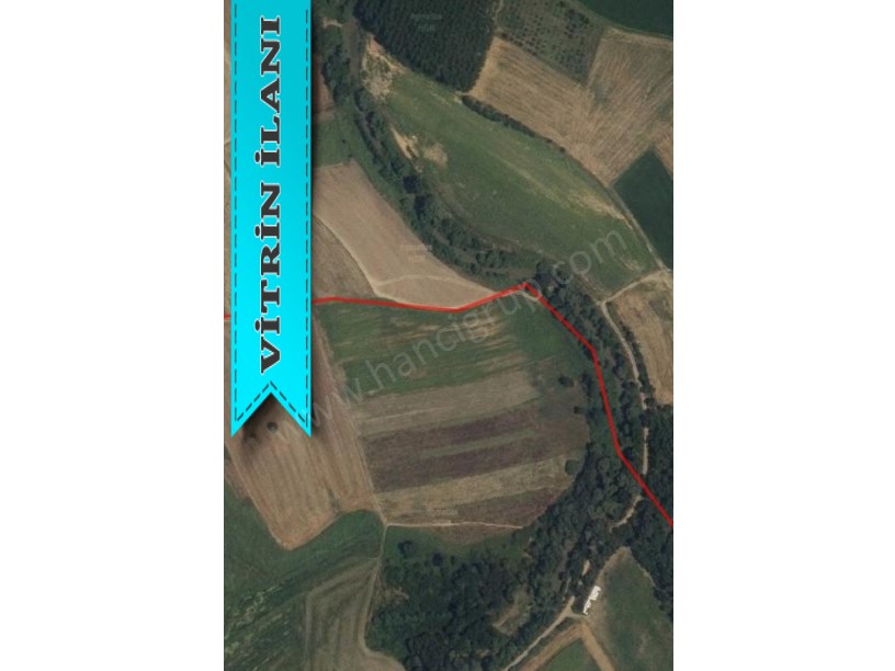KIRKLARELİ PEHLİVANKÖY KURTULUŞTA MÜSTAKİL SATILIK 4.839 M2 TARLA