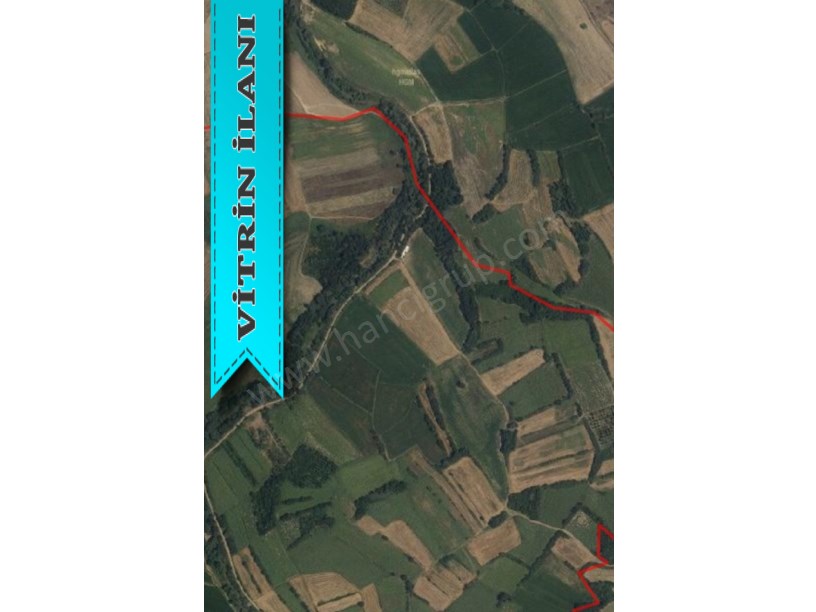KIRKLARELİ PEHLİVANKÖY KURTULUŞTA MÜSTAKİL SATILIK 4.839 M2 TARLA