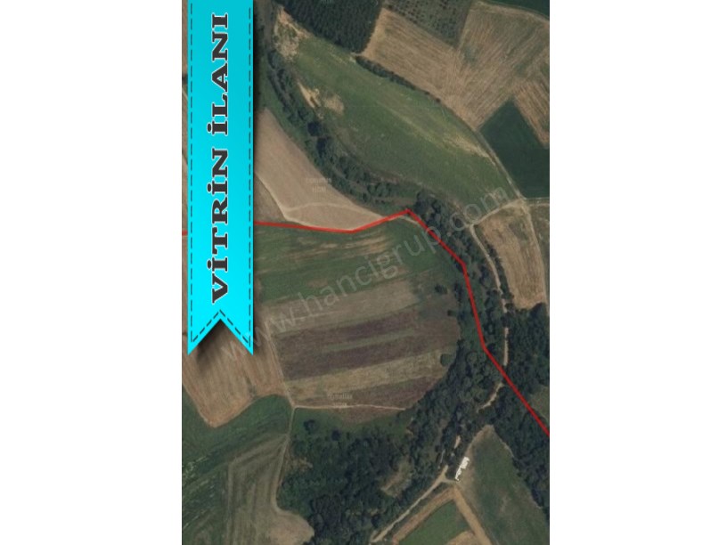 KIRKLARELİ PEHLİVANKÖY KURTULUŞTA MÜSTAKİL SATILIK 4.839 M2 TARLA