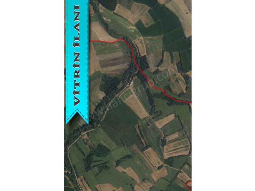 KIRKLARELİ PEHLİVANKÖY KURTULUŞTA MÜSTAKİL SATILIK 4.839 M2 TARLA
