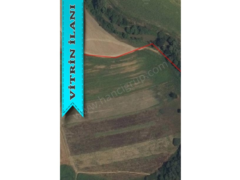 KIRKLARELİ PEHLİVANKÖY KURTULUŞTA MÜSTAKİL SATILIK 4.839 M2 TARLA