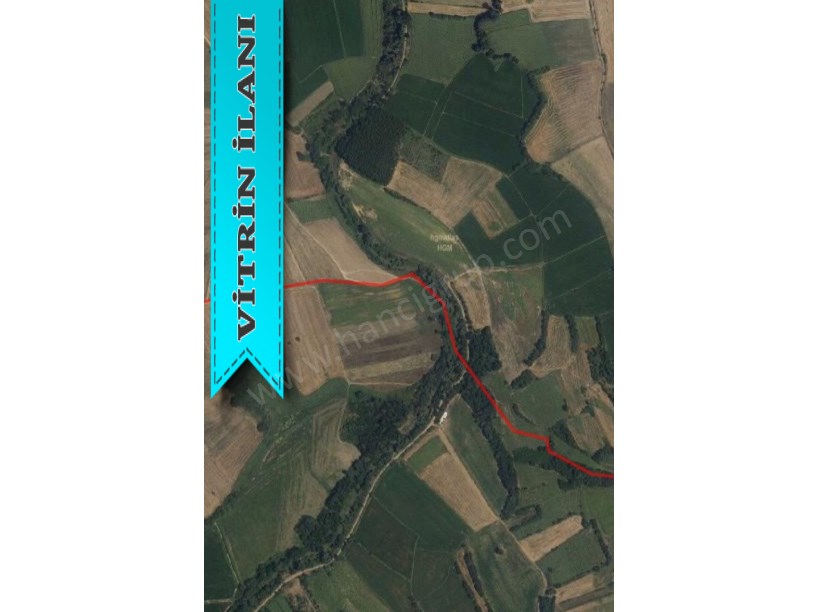 KIRKLARELİ PEHLİVANKÖY KURTULUŞTA MÜSTAKİL SATILIK 4.839 M2 TARLA