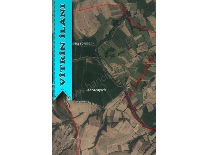 KIRKLARELİ PEHLİVANKÖY KURTULUŞTA MÜSTAKİL SATILIK 4.839 M2 TARLA