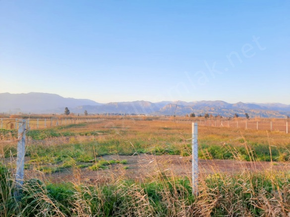 Atça Mah. Sultanhisar Satılık Tarla |  5000M2 1.700.000Tl Resim-1