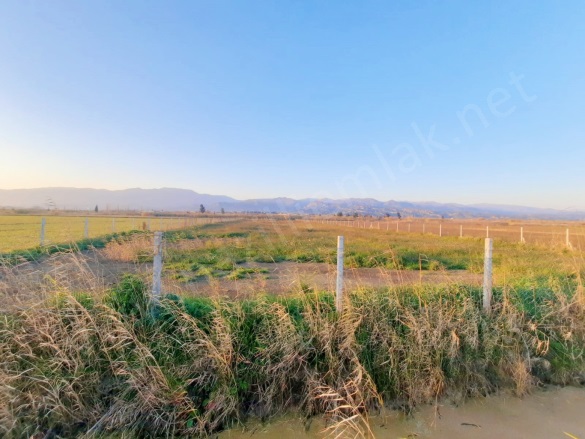 Atça Mah. Sultanhisar Satılık Tarla |  5000M2 1.700.000Tl Resim-2