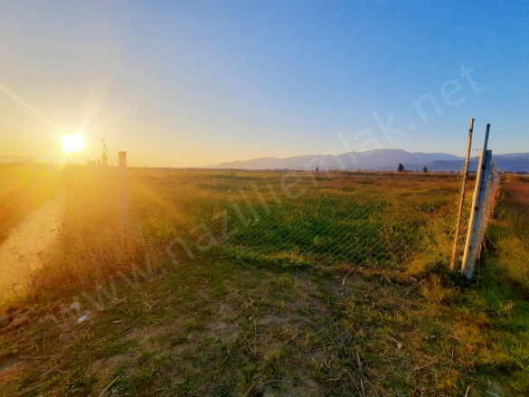 Atça Mah. Sultanhisar Satılık Tarla |  5000M2 1.700.000Tl Resim-3