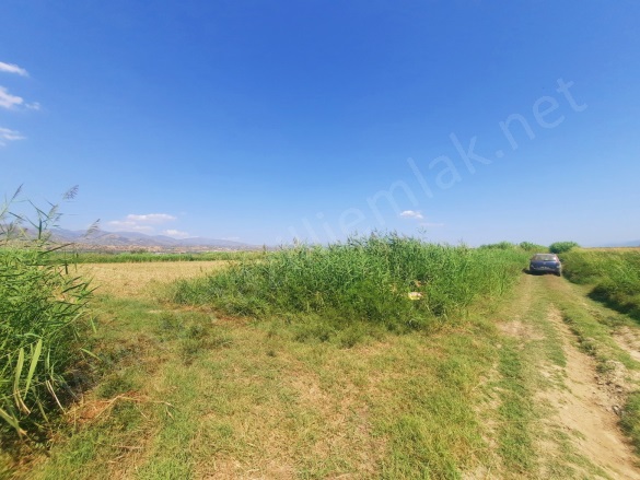 Atça Mah. Sultanhisar Satılık Tarla |  2500M2 850.000Tl Resim-1