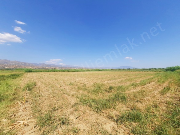 Atça Mah. Sultanhisar Satılık Tarla |  2500M2 850.000Tl Resim-2