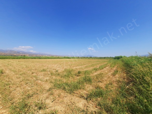 Atça Mah. Sultanhisar Satılık Tarla |  2500M2 850.000Tl Resim-3