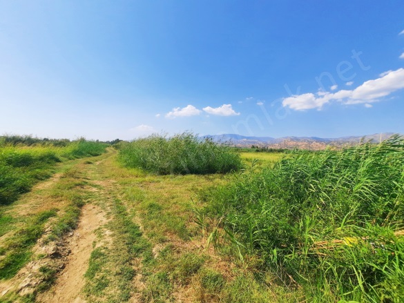 Atça Mah. Sultanhisar Satılık Tarla |  2500M2 850.000Tl Resim-4