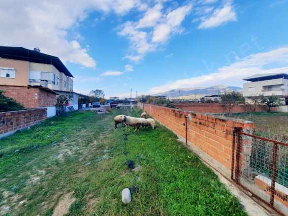 Pamukörende Güney Cepheli Etrafı Çevrili Satılık Arsa Kuyucak Pamukören Mah