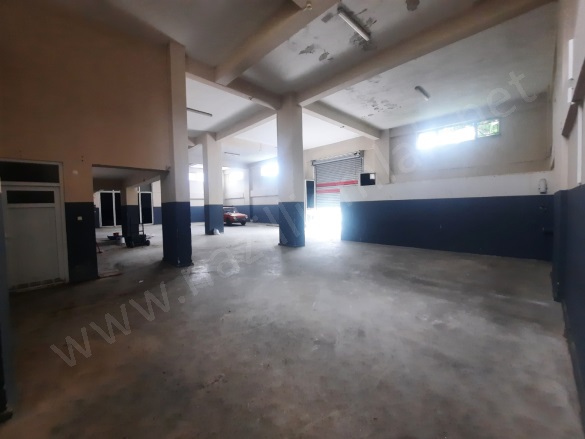 Sümer Mah. Nazilli Kiralık Dükkan |  600M2 Aylık 125.000Tl | Komple Bina Resim-3